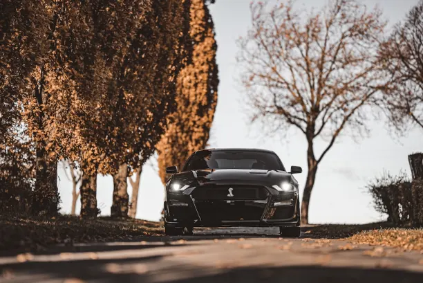 Casino Lion Wins Android/iOS aplikacija